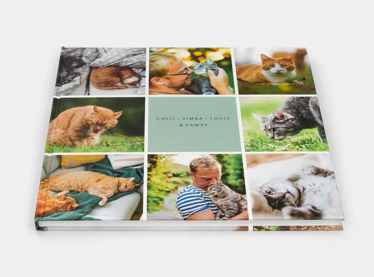 Fotobuch Hardcover 30x30 mit Katzen Fotos auf dem Cover